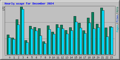 Hourly usage for December 2024