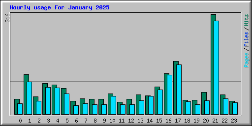 Hourly usage for January 2025