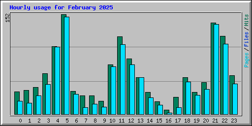 Hourly usage for February 2025
