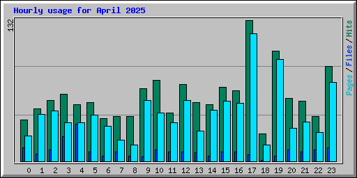 Hourly usage for April 2025