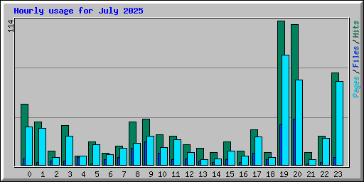 Hourly usage for July 2025