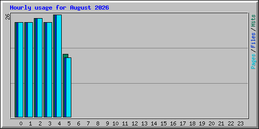 Hourly usage for August 2026